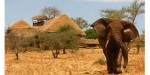 Apokasafarilodge5