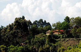 Nkuringo Gorilla Camp