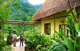Volcanoes Safaris Bwindi Lodge