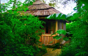 Wagtail Eco-safari Camp