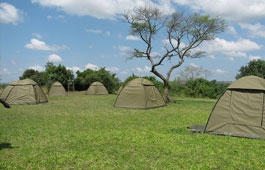 Shoebill Camp Site