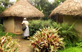 Nyundo Valley Hill Bandas